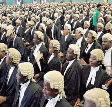 Young Lawyers, lawyers in business