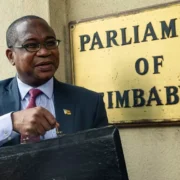 Zimbabwe's finance minister, Mthuli Ncube; credit: Africa News; Zimbabwe crypto