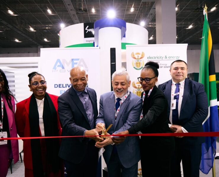 AMEA Power's 120MW Solar Project Achieves Commercial Operation, Signalling REIPPPP Bid Window 6 Success and Investor Confidence - Africa