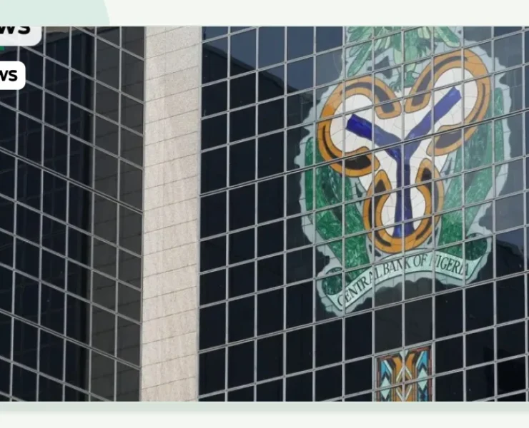 CBN Proposes 20% Capital Buffer Rule for Financial Holding Companies - Nigeria