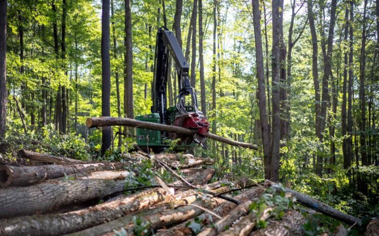 China's €11 Billion Wood and Rubber Exports Face EUDR Scrutiny: Traceability Becomes a Commercial Imperative - Africa