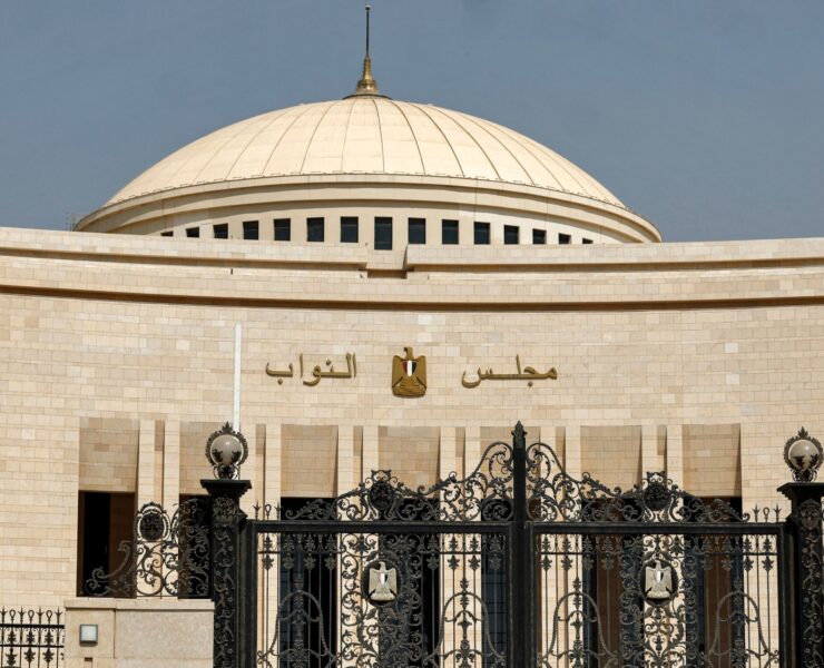 Egypt Overhauls VAT Law: Strategic Cuts to Medical Device Tax and New Schedule for Natural Gas Signal Economic Reforms - Egypt