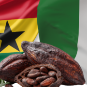 Ghana and Côte d’Ivoire Forge Landmark Cocoa Pricing Accord to Fortify Global Supply Chain - Africa