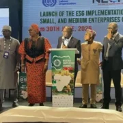 NECA Unveils Landmark ESG Guide for Nigerian MSMEs, Signalling Mandatory Reporting by 2030 - Nigeria