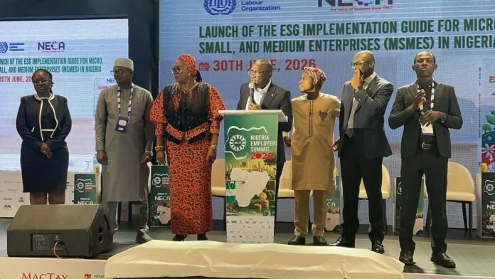 NECA Unveils Landmark ESG Guide for Nigerian MSMEs, Signalling Mandatory Reporting by 2030 - Nigeria