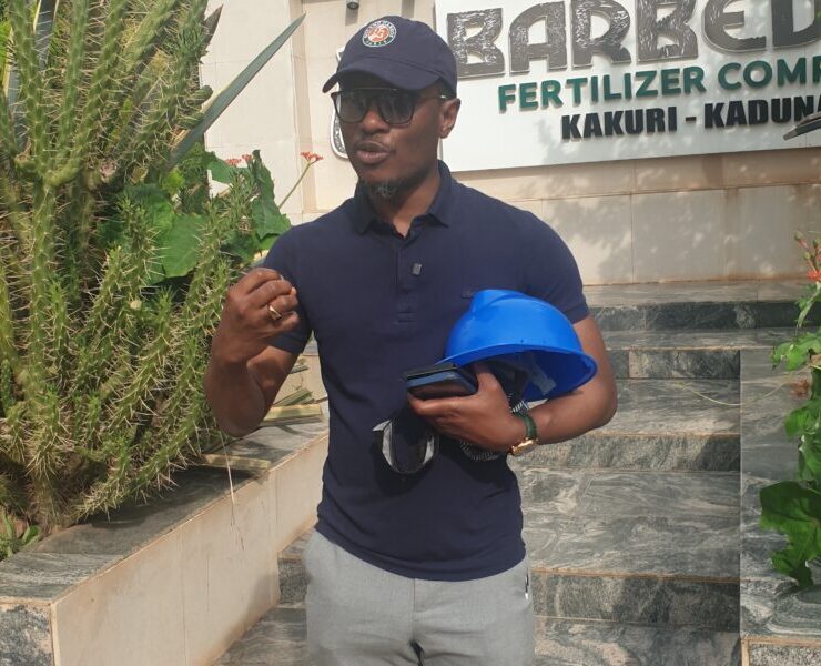 Nigeria's Fertiliser Reforms: A Strategic Pivot Towards Food Security and Export Dominance - Nigeria