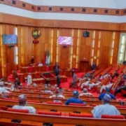 Senate Committee Vows to Resolve Jurisdictional Conflicts Hampering Nigeria's Petroleum Sector Regulation - Nigeria