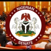 Senate Passes Financing Bill To Unlock MSME Funding, Boost Trade - Nigeria