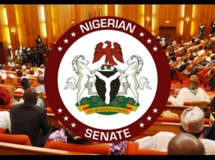 Senate Passes Financing Bill To Unlock MSME Funding, Boost Trade - Nigeria