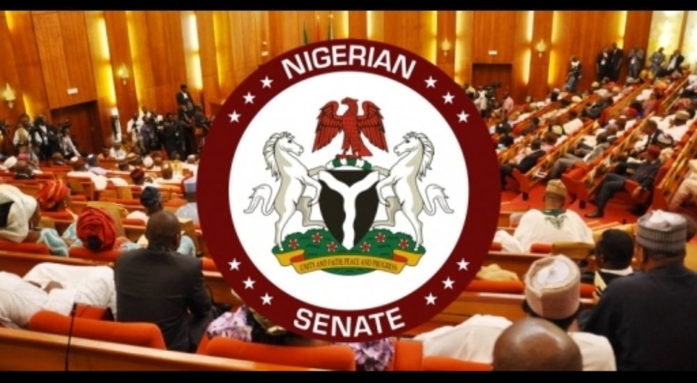 Senate Passes Financing Bill To Unlock MSME Funding, Boost Trade - Nigeria