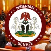Senate Passes Receivables Financing Bill to Unlock $50 Billion African Factoring Market for MSMEs - Nigeria