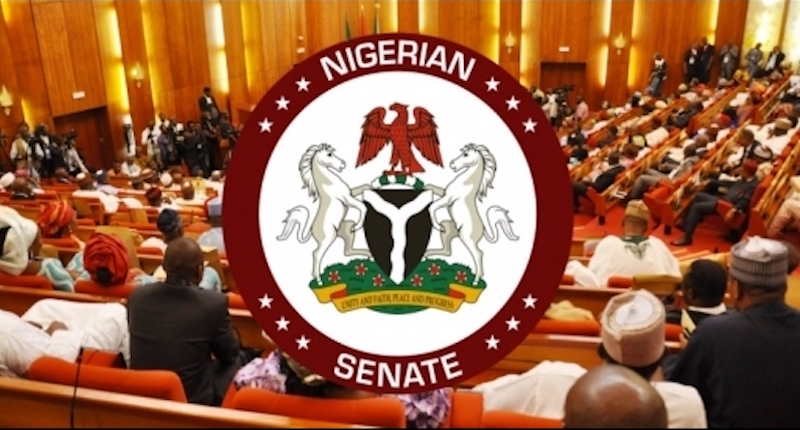 Senate Passes Receivables Financing Bill to Unlock $50 Billion African Factoring Market for MSMEs - Nigeria