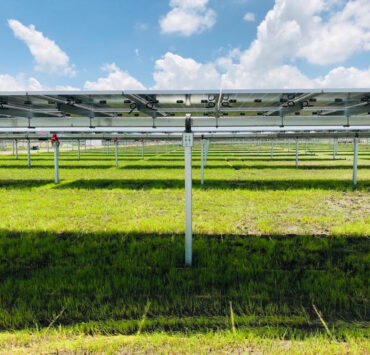 Soltec Secures PFE Compliance Certification for US Solar Trackers, Navigating Complex Tax Code Requirements - Global