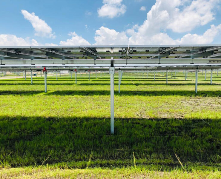 Soltec Secures PFE Compliance Certification for US Solar Trackers, Navigating Complex Tax Code Requirements - Global