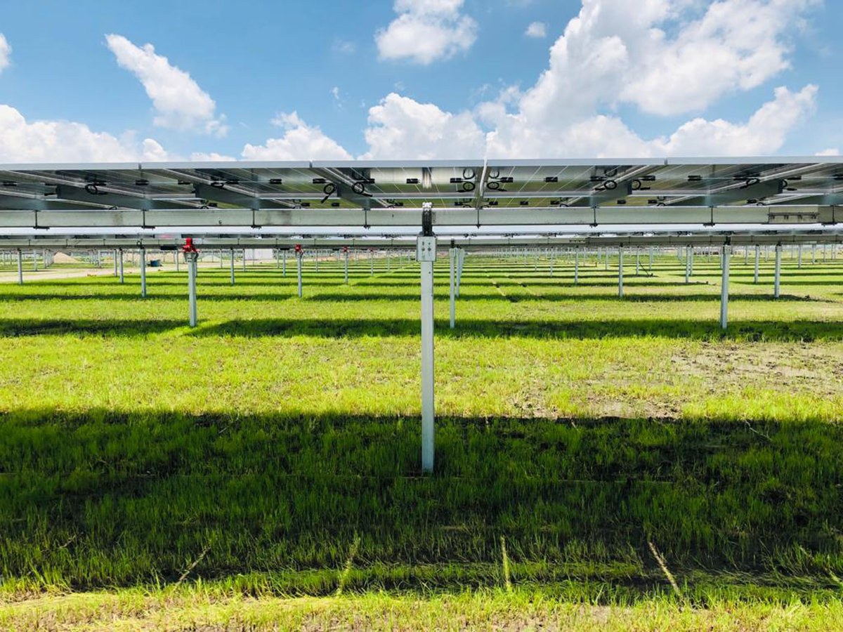 Soltec Secures PFE Compliance Certification for US Solar Trackers, Navigating Complex Tax Code Requirements - Global