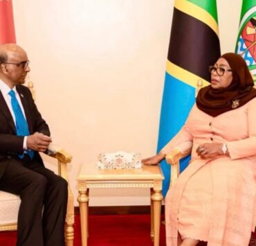 Tanzania-Singapore Carbon Deal: Unlocking Commercial Capital Through Article 6 Compliance - Tanzania