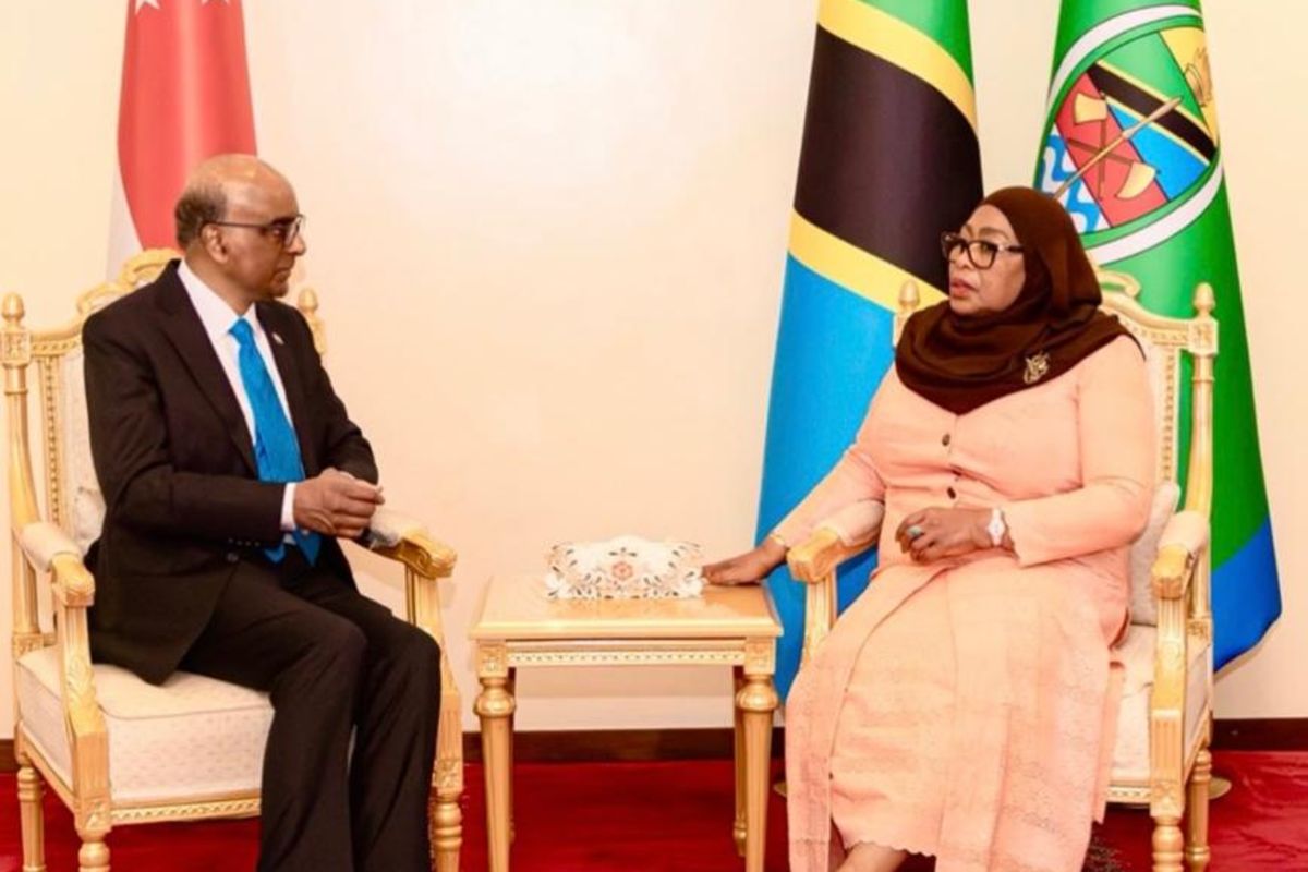 Tanzania-Singapore Carbon Deal: Unlocking Commercial Capital Through Article 6 Compliance - Tanzania
