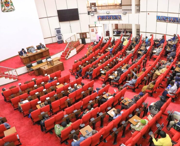 Tanzania's Finance Bill 2026 Unveiled: Sweeping Tax Reforms Target Agriculture, Digital Services, and Revenue Mobilisation - Tanzania
