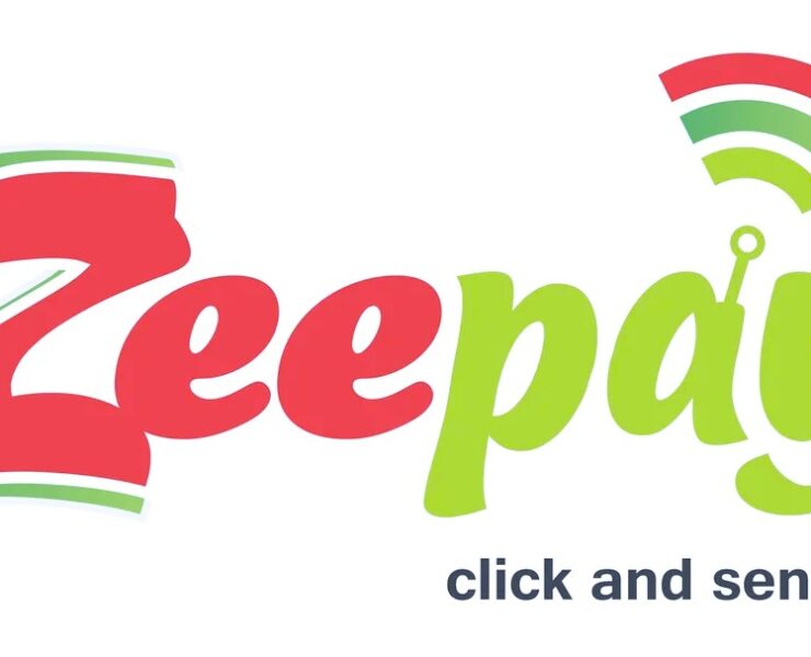 Bank of Ghana Revokes Zeepay's E-Money Licence Amidst Grave Regulatory Breaches - Ghana