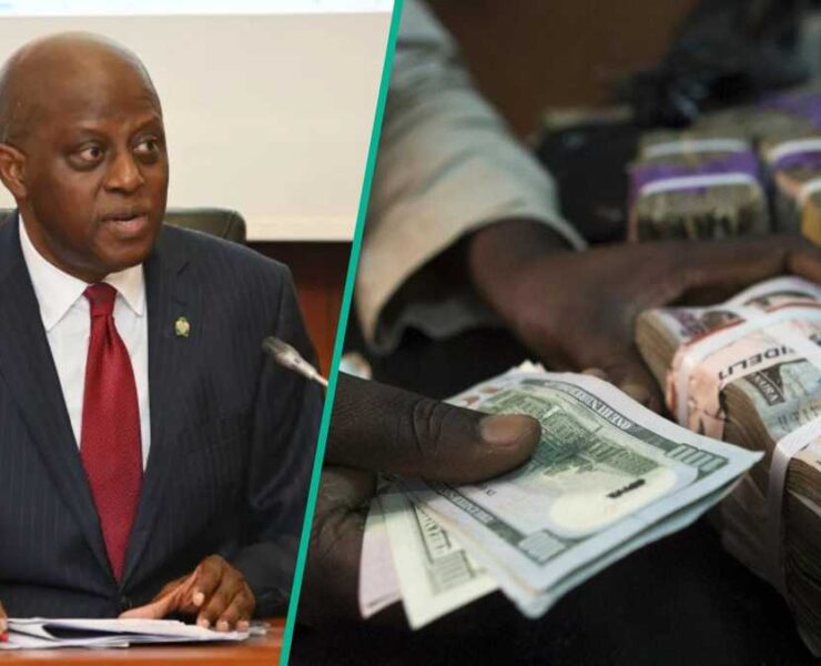CBN Uncovers Forex Violations in 34 Banks, Mandates Penalties Following 2025 Annual Review - Nigeria