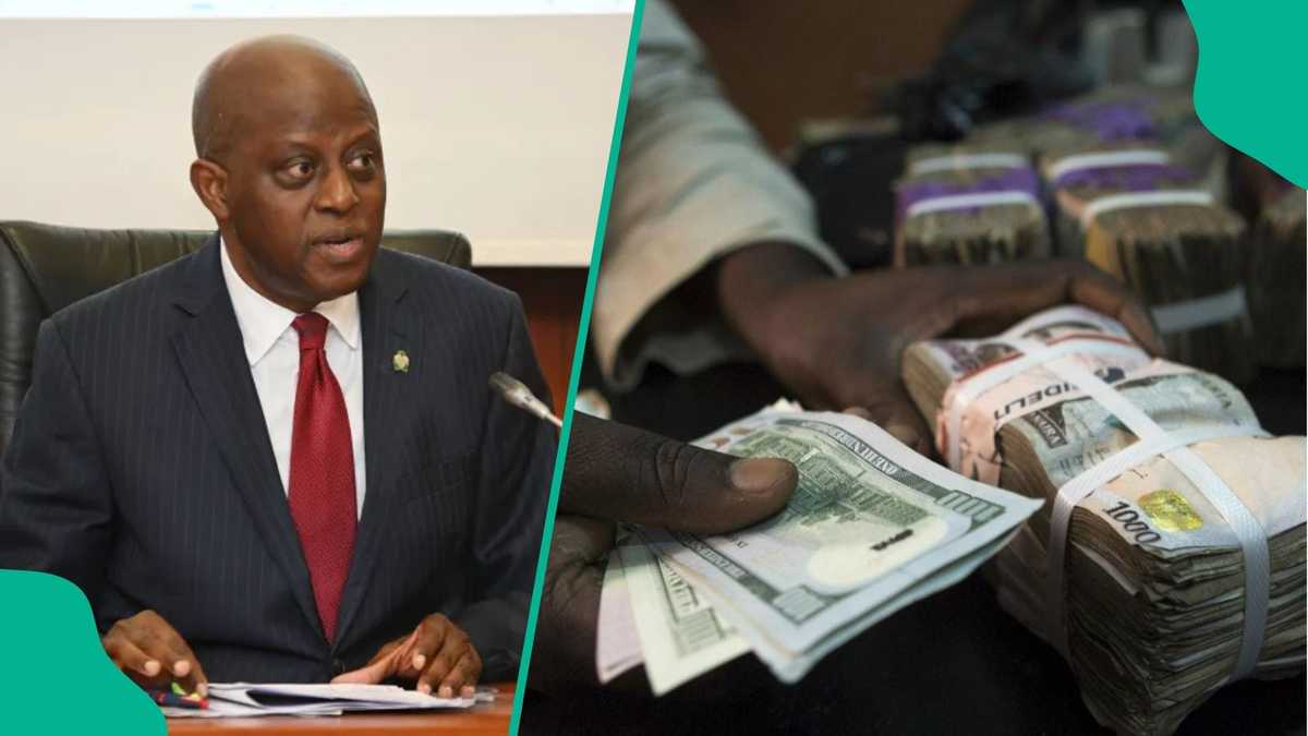 CBN Uncovers Forex Violations in 34 Banks, Mandates Penalties Following 2025 Annual Review - Nigeria