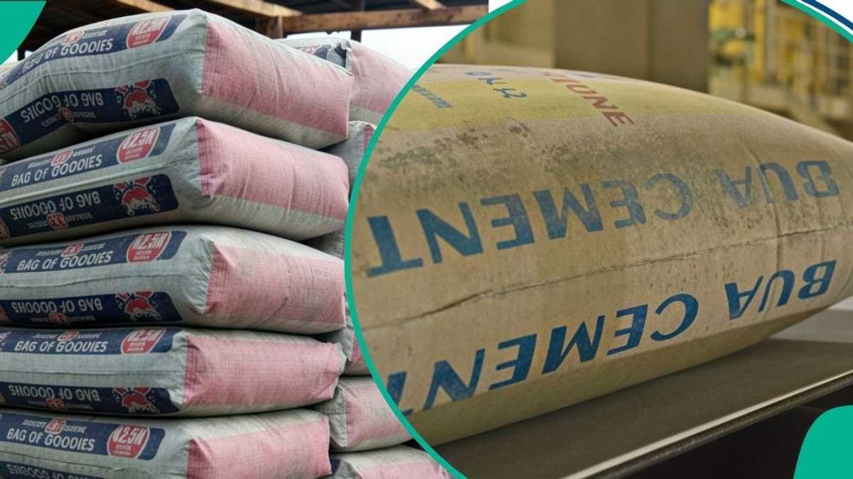 Chinese Cement Giant's $1 Billion Lafarge Acquisition Clears Senate Hurdle, Poised to Reshape Nigerian Market - Nigeria
