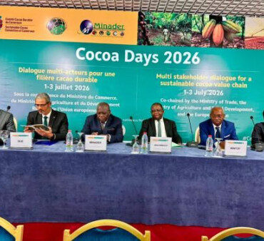 EU Deforestation Rules Spark "Punitive Environmentalism" Claims from Cameroon Amidst Cocoa Price Collapse - Cameroon