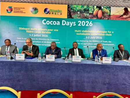 EU Deforestation Rules Spark "Punitive Environmentalism" Claims from Cameroon Amidst Cocoa Price Collapse - Cameroon