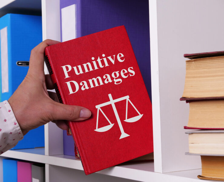 Florida Supreme Court Decision Lowers Bar for Punitive Damages, Heightening Settlement Pressure - Global