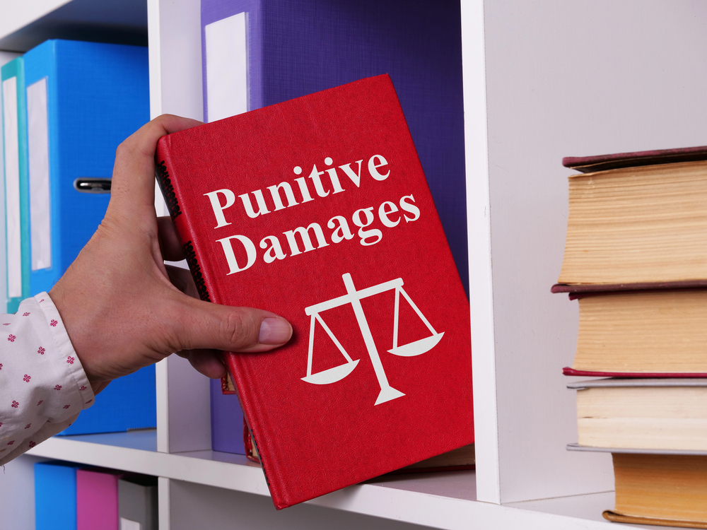 Florida Supreme Court Decision Lowers Bar for Punitive Damages, Heightening Settlement Pressure - Global