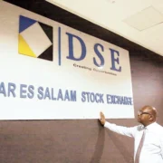 Govt eyes listing up to five state firms on DSE - Tanzania
