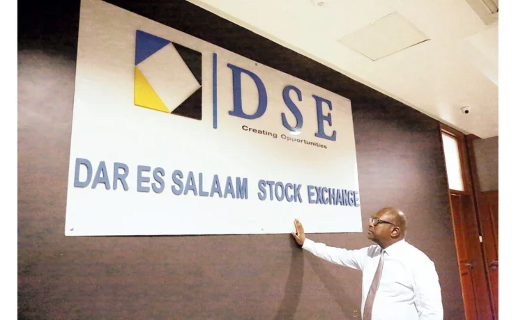 Govt eyes listing up to five state firms on DSE - Tanzania