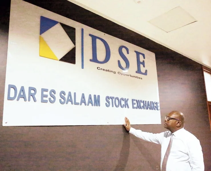 Govt eyes listing up to five state firms on DSE - Tanzania