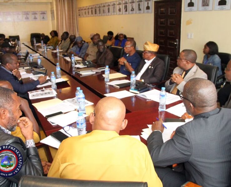 Liberia's House of Representatives Launches Sweeping Review of Mining Law Amidst Calls for Enhanced Enforcement and Environmental Safeguards - Liberia
