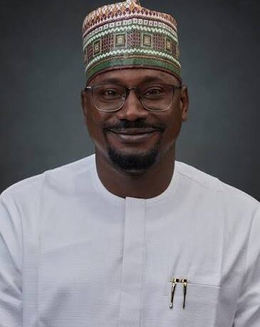 Mini-Grids Emerge as De-Risking Engine for Nigeria's Power Sector, Attracting Substantial Private Capital - Nigeria