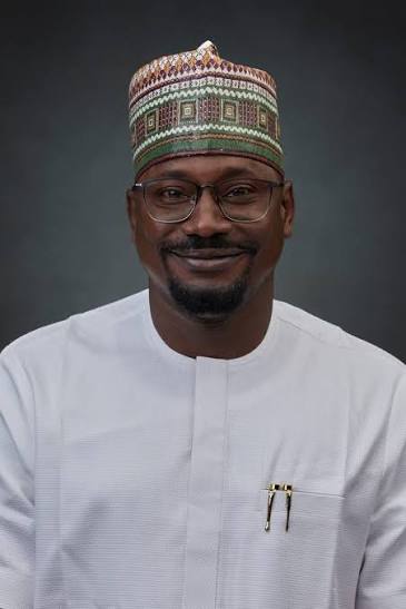 Mini-Grids Emerge as De-Risking Engine for Nigeria's Power Sector, Attracting Substantial Private Capital - Nigeria