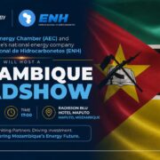 Mozambique's Gas Bonanza: ENH and AEC Host Investor Briefing Amidst Major LNG Advancements - Africa