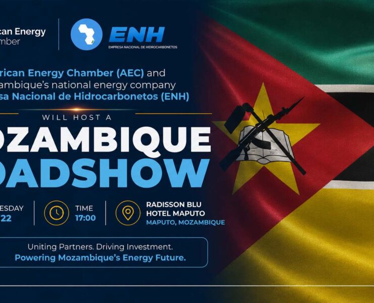 Mozambique's Gas Bonanza: ENH and AEC Host Investor Briefing Amidst Major LNG Advancements - Africa
