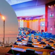 Nigeria Forges Ahead: Joint Decarbonisation Group Launched to Drive 2030 Gas Flaring Deadline and Secure Investment - Nigeria