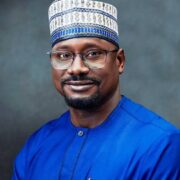 Nigeria's $2 Billion Renewable Energy Investment Underwhelms on Job Creation, Highlighting Critical Local Capacity Deficit - Nigeria