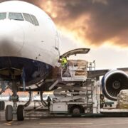 South Africa Mandates Digital Travel Declarations: A New Era for Border Management and Investment - Africa
