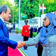 Tanzania-Egypt Economic Roadmap: A Strategic Corridor for African Trade and Investment - Tanzania