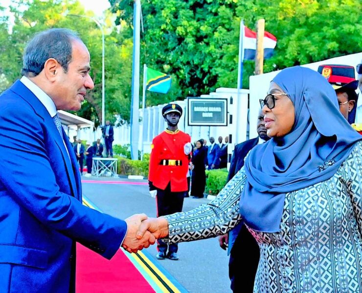 Tanzania-Egypt Economic Roadmap: A Strategic Corridor for African Trade and Investment - Tanzania