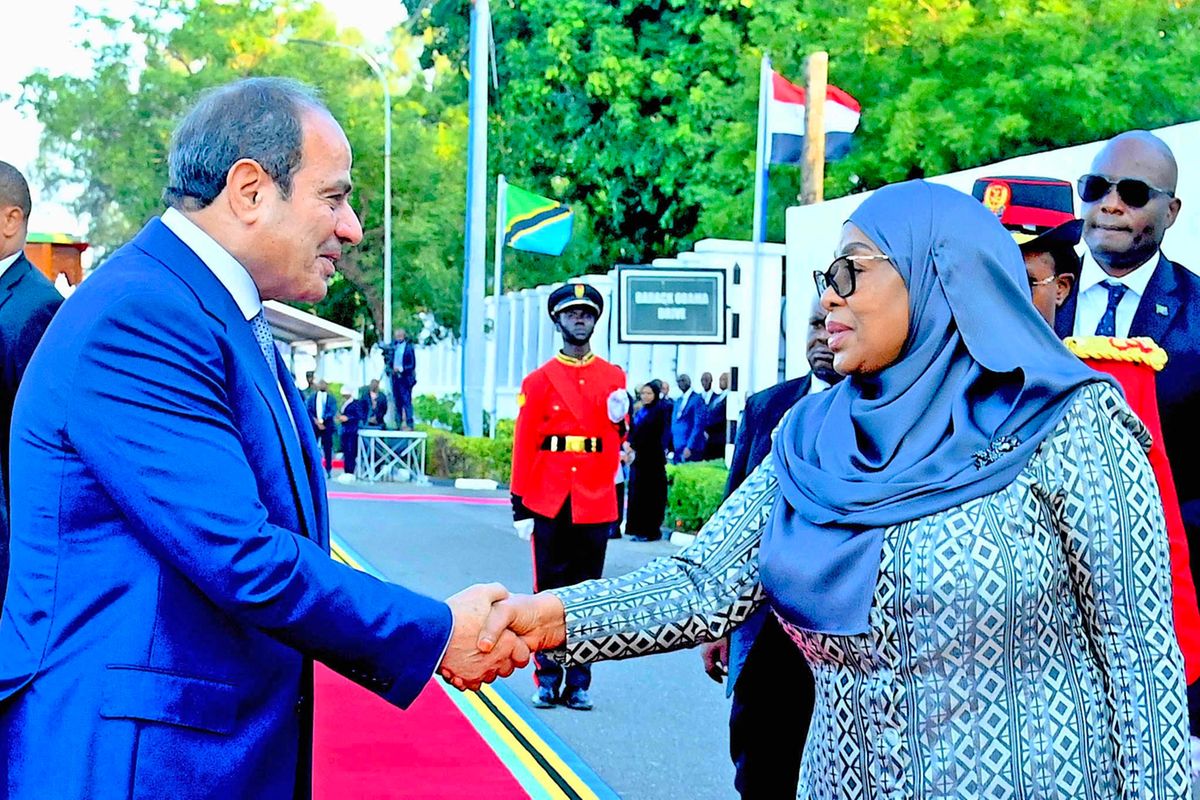 Tanzania-Egypt Economic Roadmap: A Strategic Corridor for African Trade and Investment - Tanzania