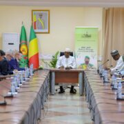 US Signals Renewed Strategic and Economic Partnership with Mali, Targeting Key Sectors - Mali