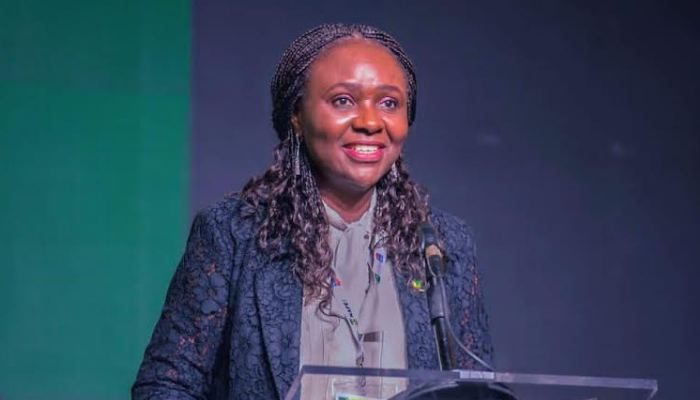 NUPRC Escalates Enforcement: Non-Performing Oil Licences Face Revocation Deadline - Nigeria