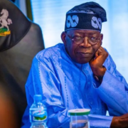 FG Mandates Local Vehicle Procurement for MDAs, Bolstering Domestic Automotive Sector - Nigeria